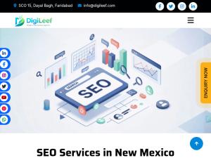 digileef.com/new-mexico/services/seo-services