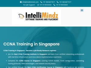 intellimindz.com/ccna-training-in-singapore