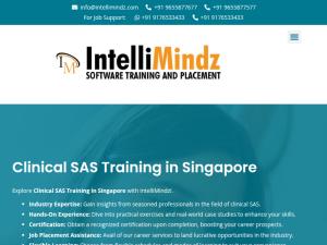 intellimindz.com/clinical-sas-training-in-singapore