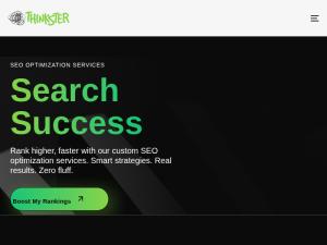 thinkster.in/search-engine-optimization-seo-services