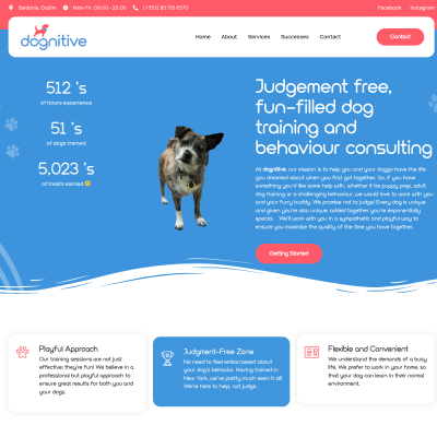 Screenshot of https://www.dognitive.ie/