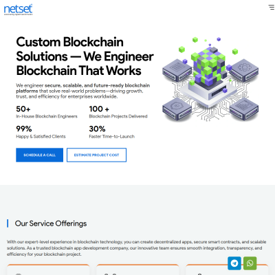 Screenshot of https://www.netsetsoftware.com/services/blockchain-development-company.php